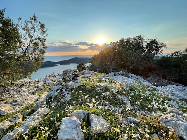 Mljet Island ~ Croatia custom tour ~ Azzurytt Travel Concierge